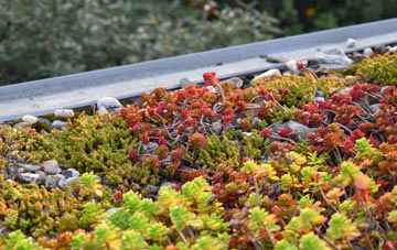 the cost of Porterfield green roof installation