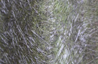 Porterfield fibreglass roof work